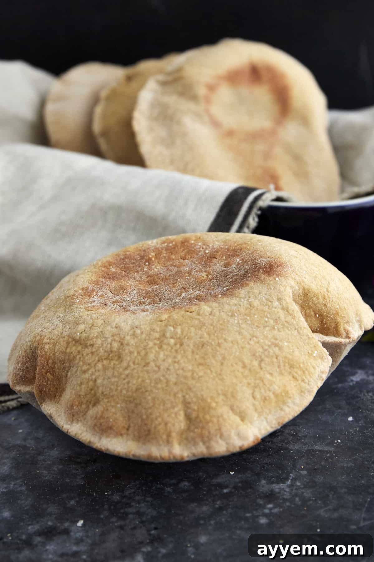 a whole wheat pita bread pocket