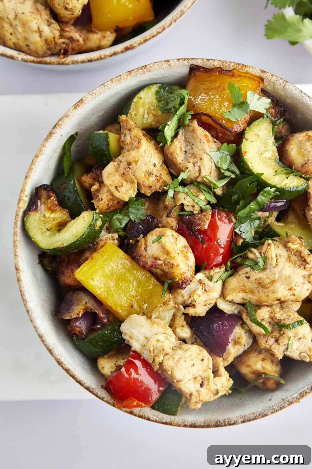 A beautifully plated bowl of air fryer chicken breast with colorful vegetables, garnished with fresh herbs.
