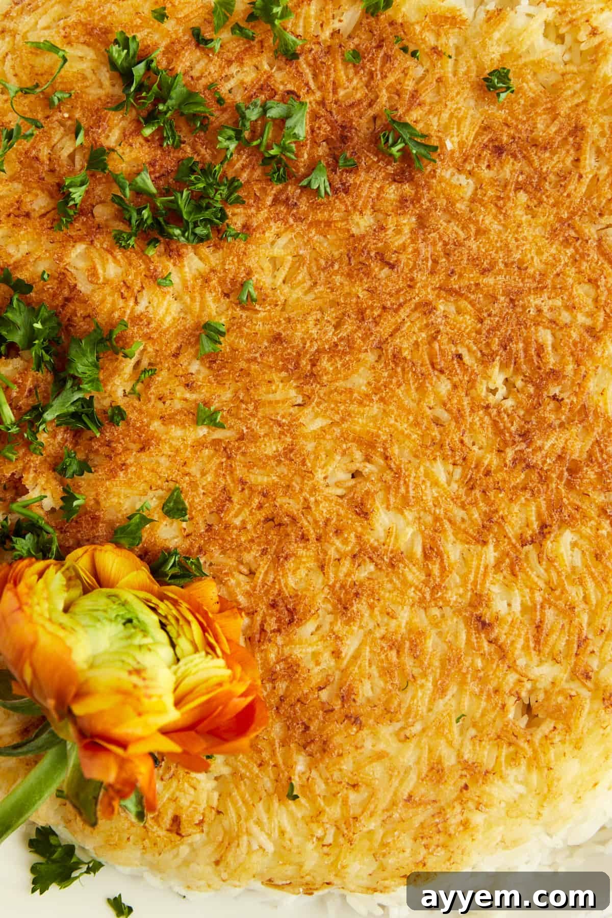 A close-up view of the perfectly golden and crispy bottom layer of Persian rice (Tahdig), showcasing its irresistible texture.