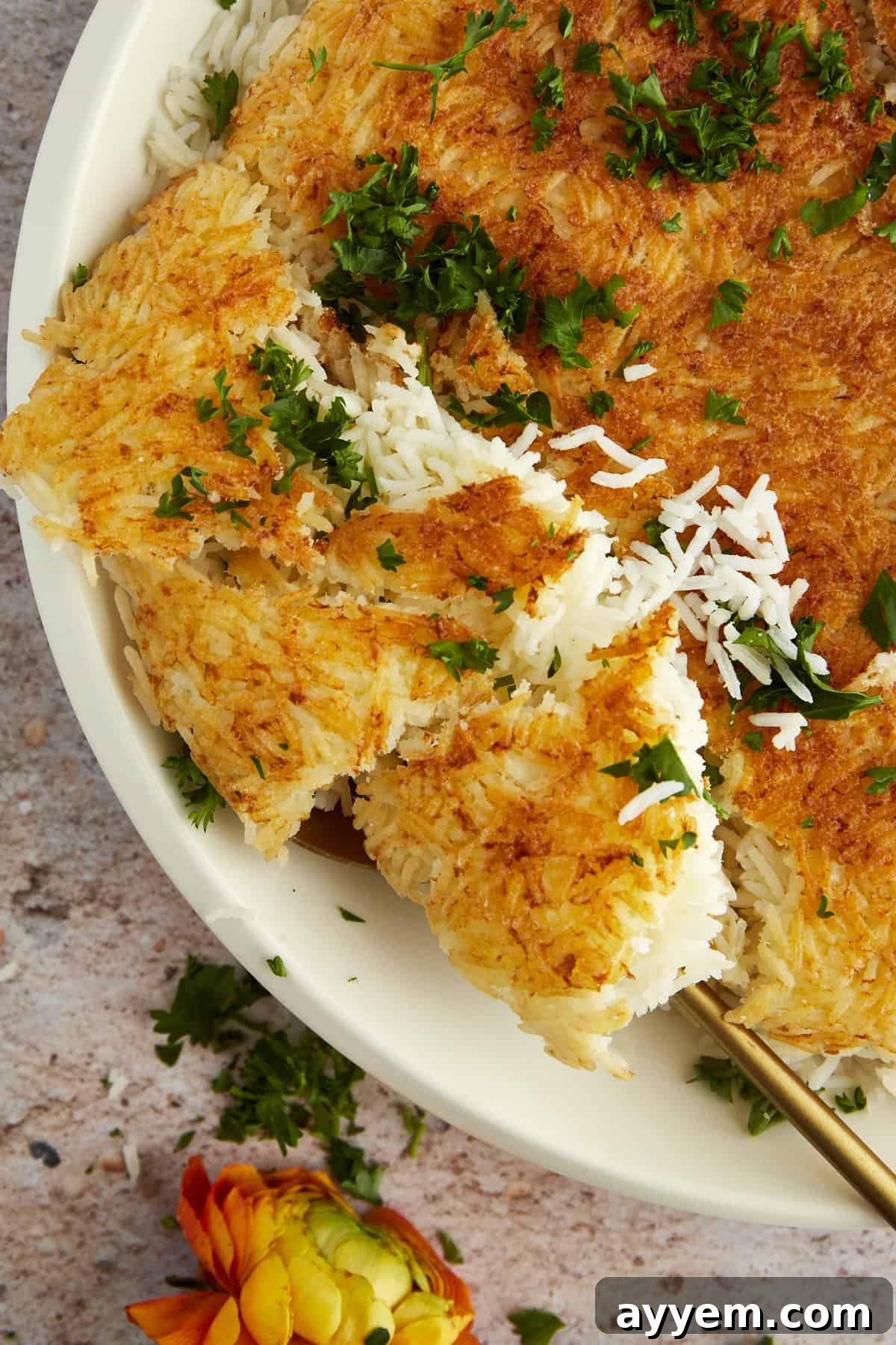 A serving of Persian rice (Tahdig) being gracefully lifted with a spoon, highlighting the contrasting textures of the fluffy grains and the crispy golden crust.