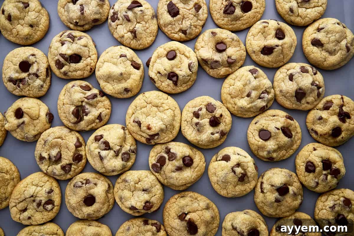 Close-up shot of mini chocolate chip cookie dough portions on a baking sheet, ready for the oven.
