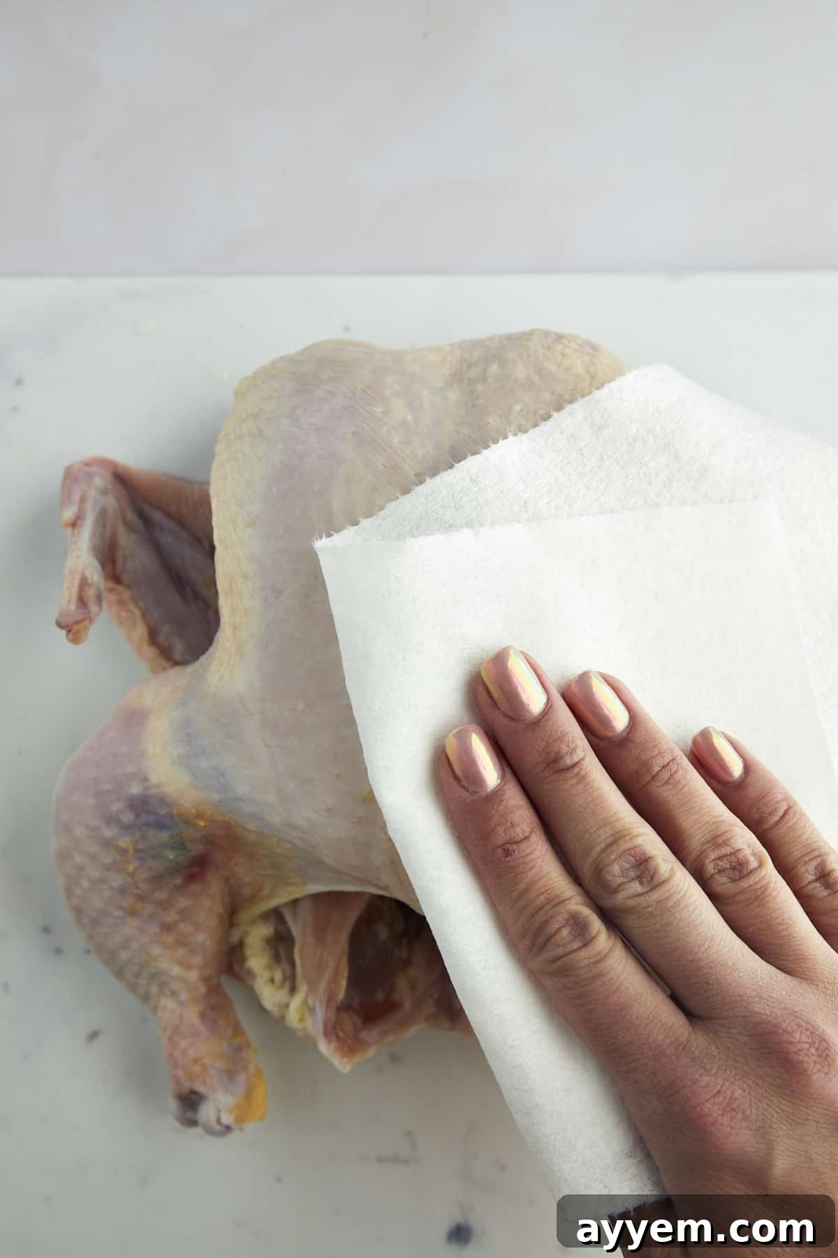 The Art of Roasting a Whole Chicken 5 A hand using clean paper towels to pat a raw chicken dry before applying marinade.