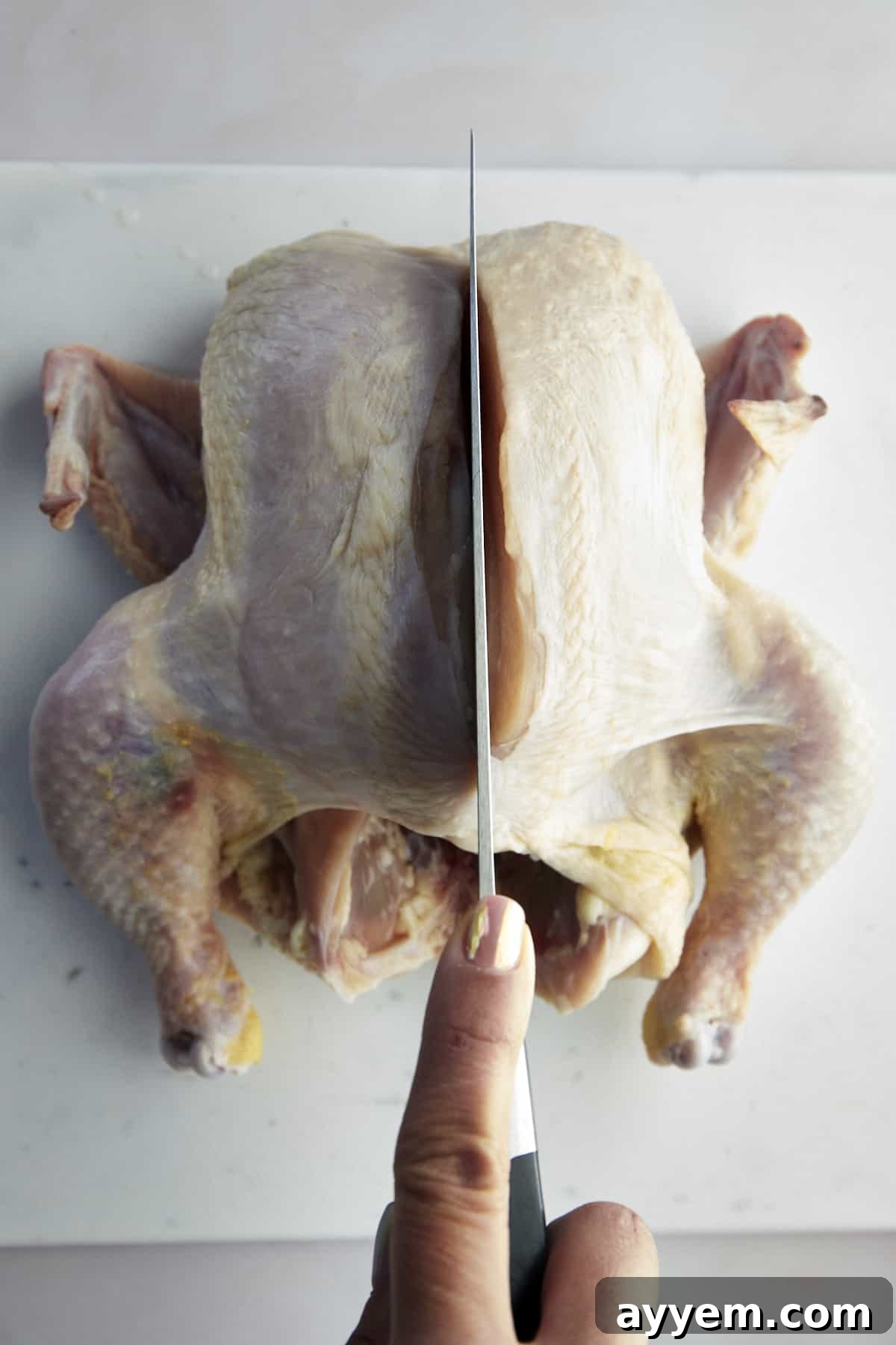 The Art of Roasting a Whole Chicken 6 A kitchen shear cutting along the backbone of a chicken to remove it.