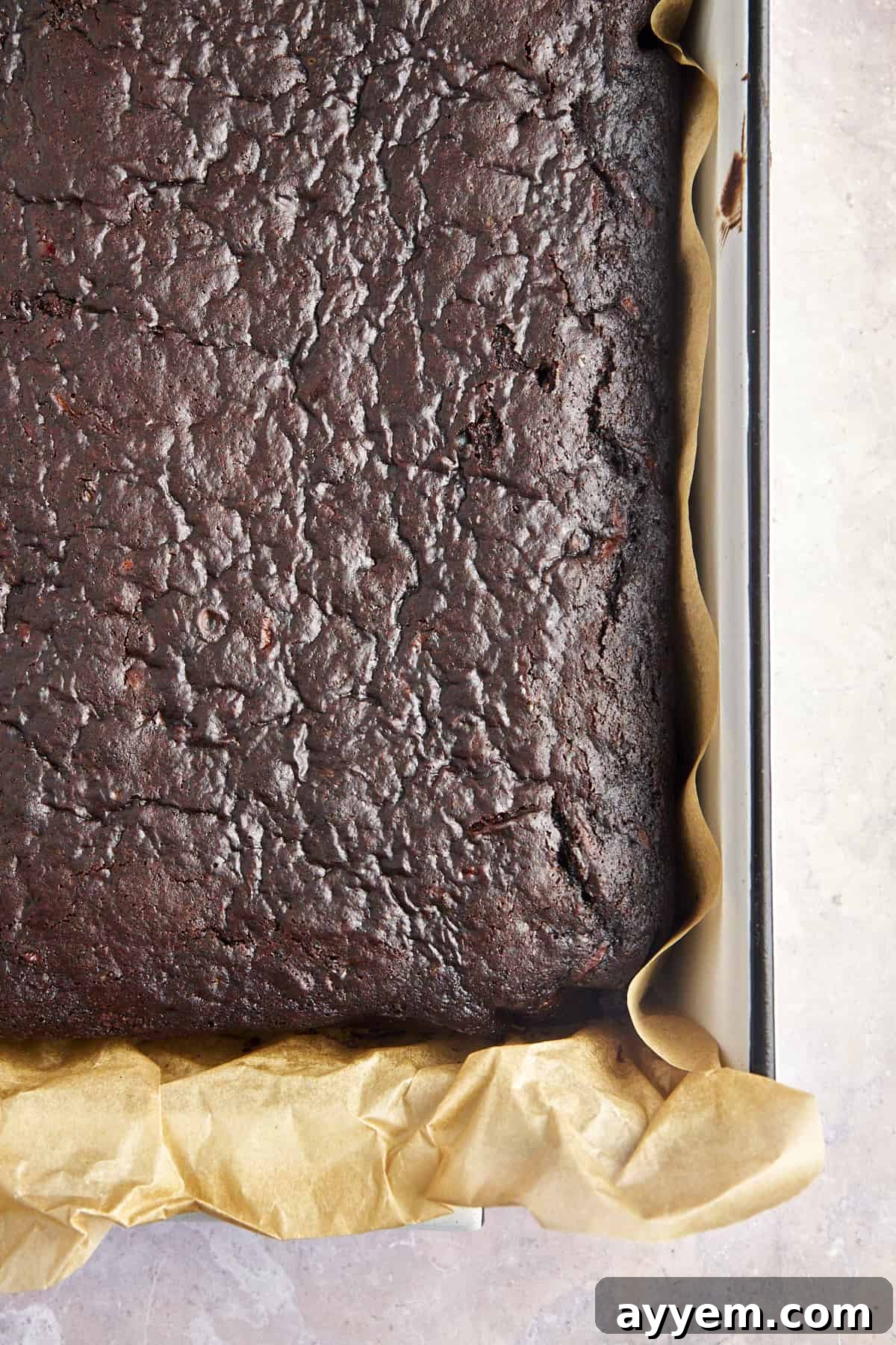 Baked chocolate zucchini cake. 