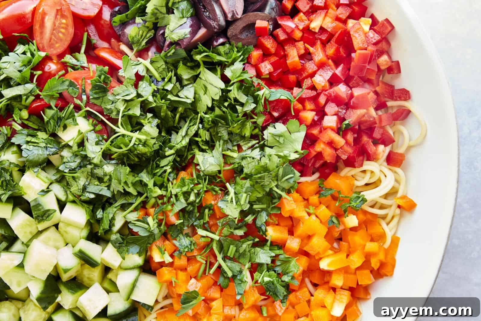 Untossed spaghetti pasta salad with veggies. 