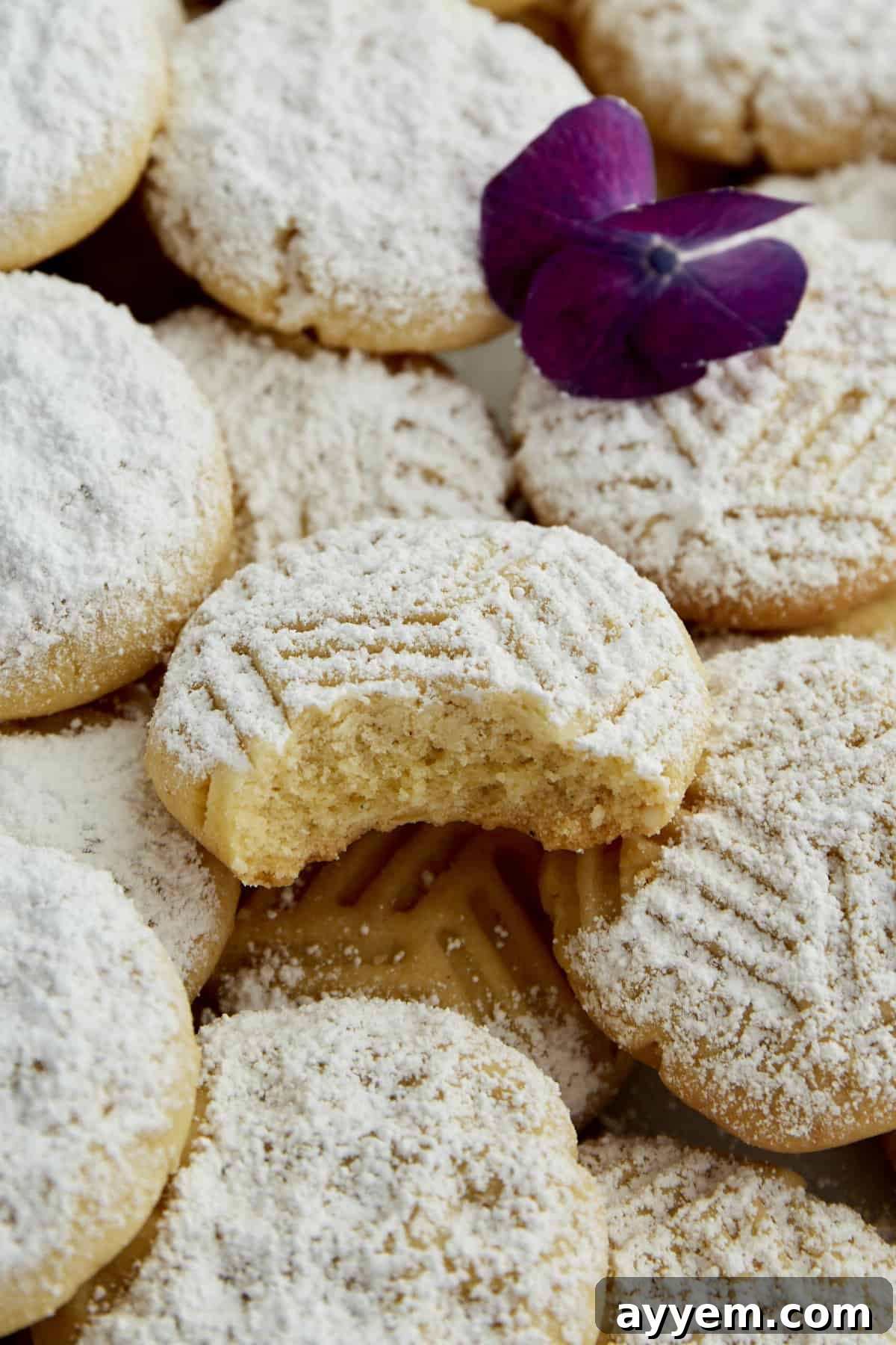 A close up image of a Kahk Cookie with a bite taken out.