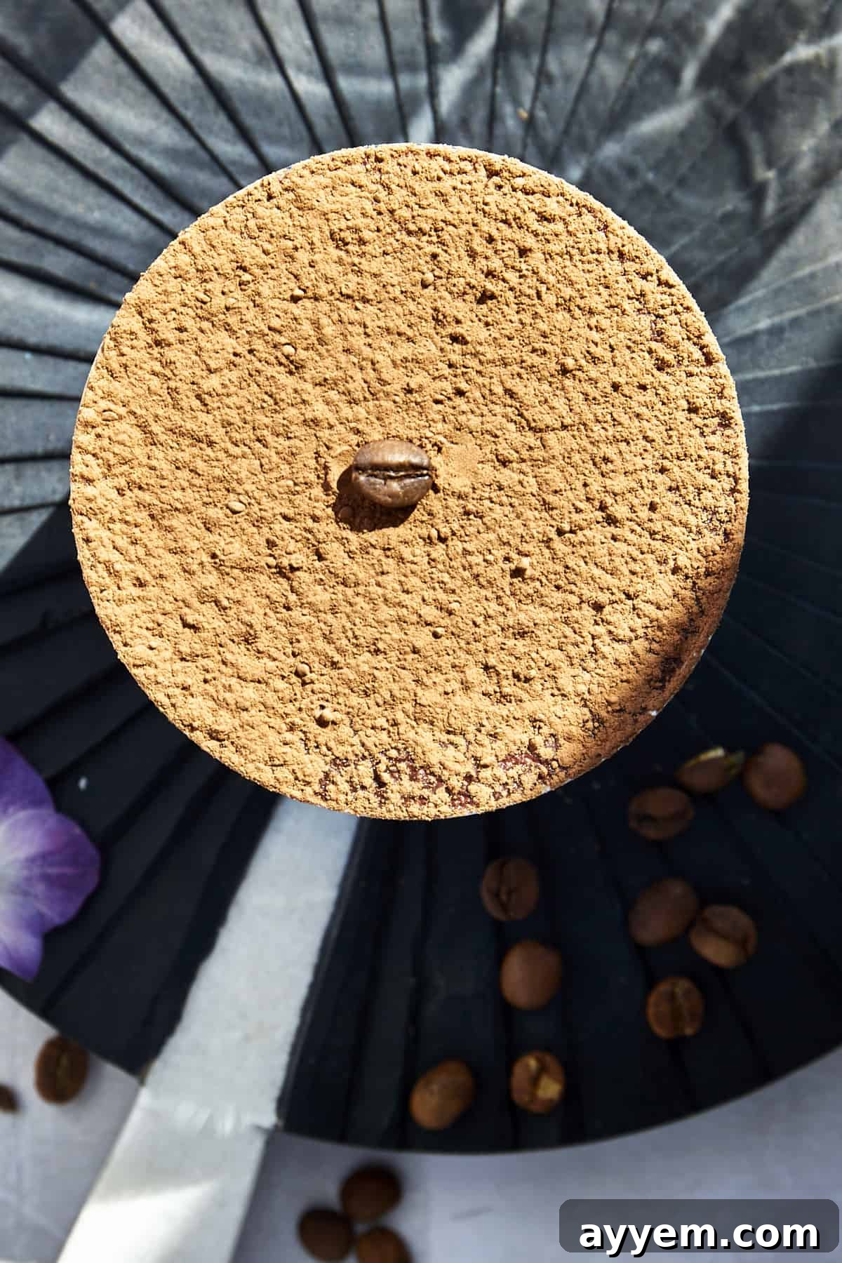 Overhead image of a jar of tiramisu chia pudding topped with cocoa powder and a coffee bean.