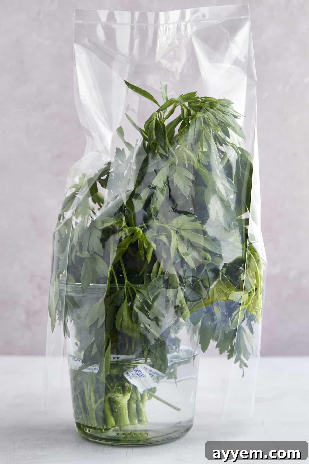 Close-up of fresh parsley being trimmed on a cutting board.