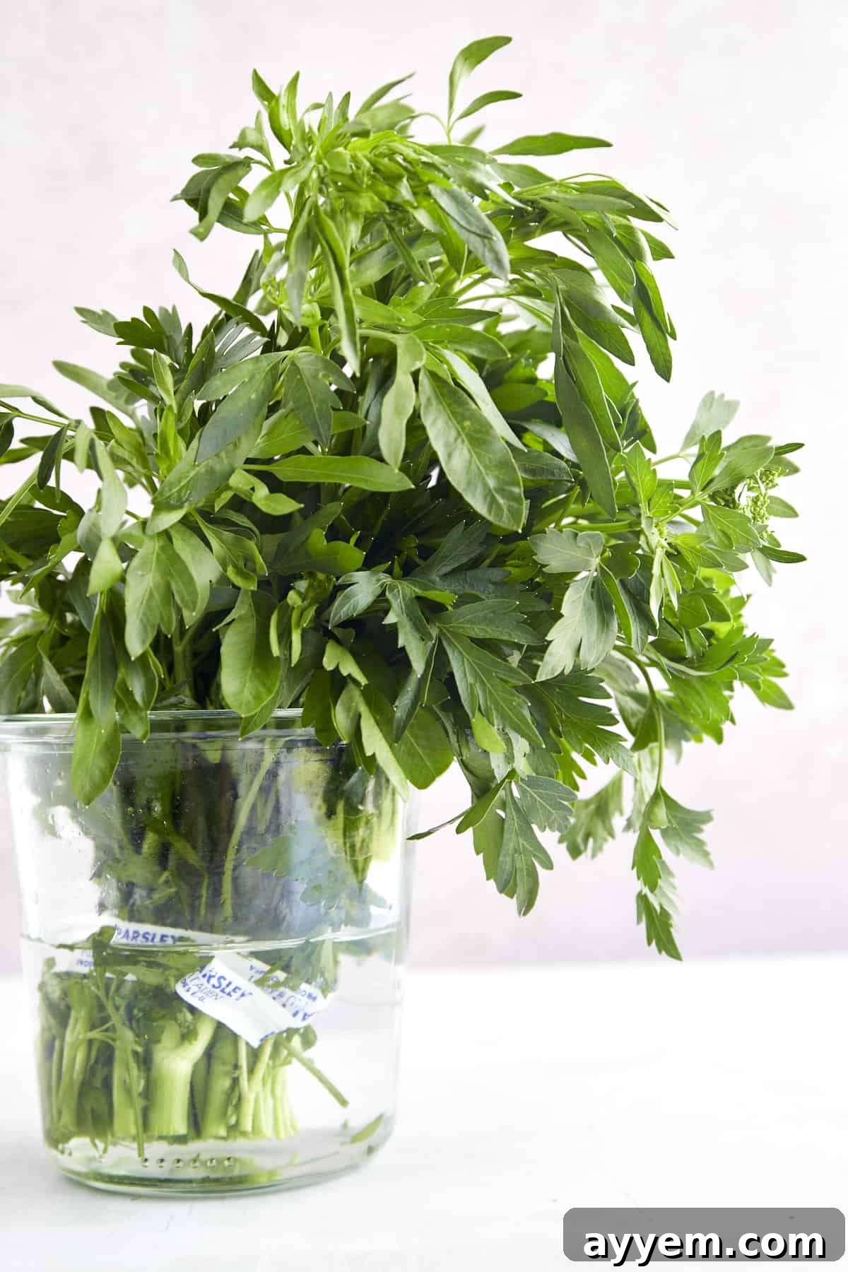 A jar of fresh parsley.