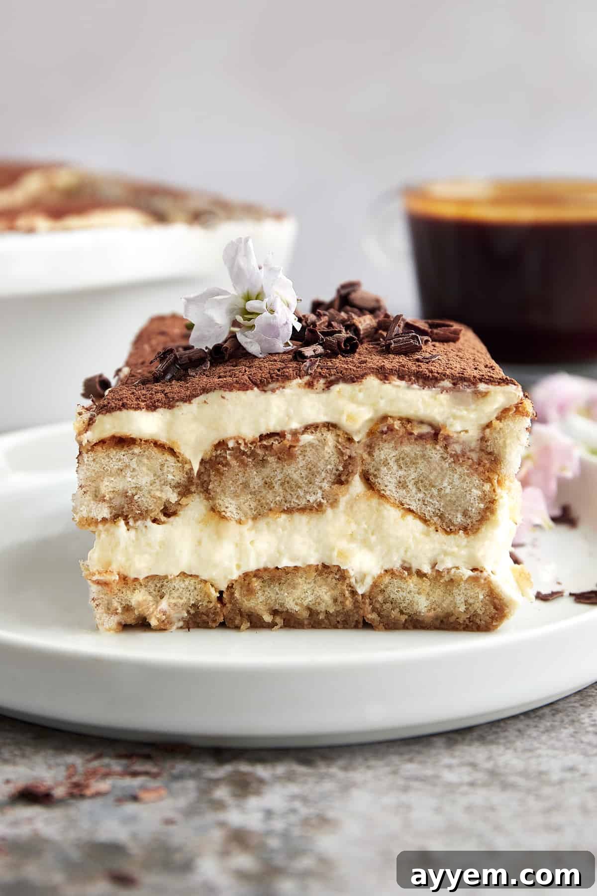 A stunning shot of a prepared Easy Tiramisu, showcasing its layers of creamy mascarpone and coffee-soaked ladyfingers, topped with cocoa powder, ready to be served as a sophisticated no-bake dessert.