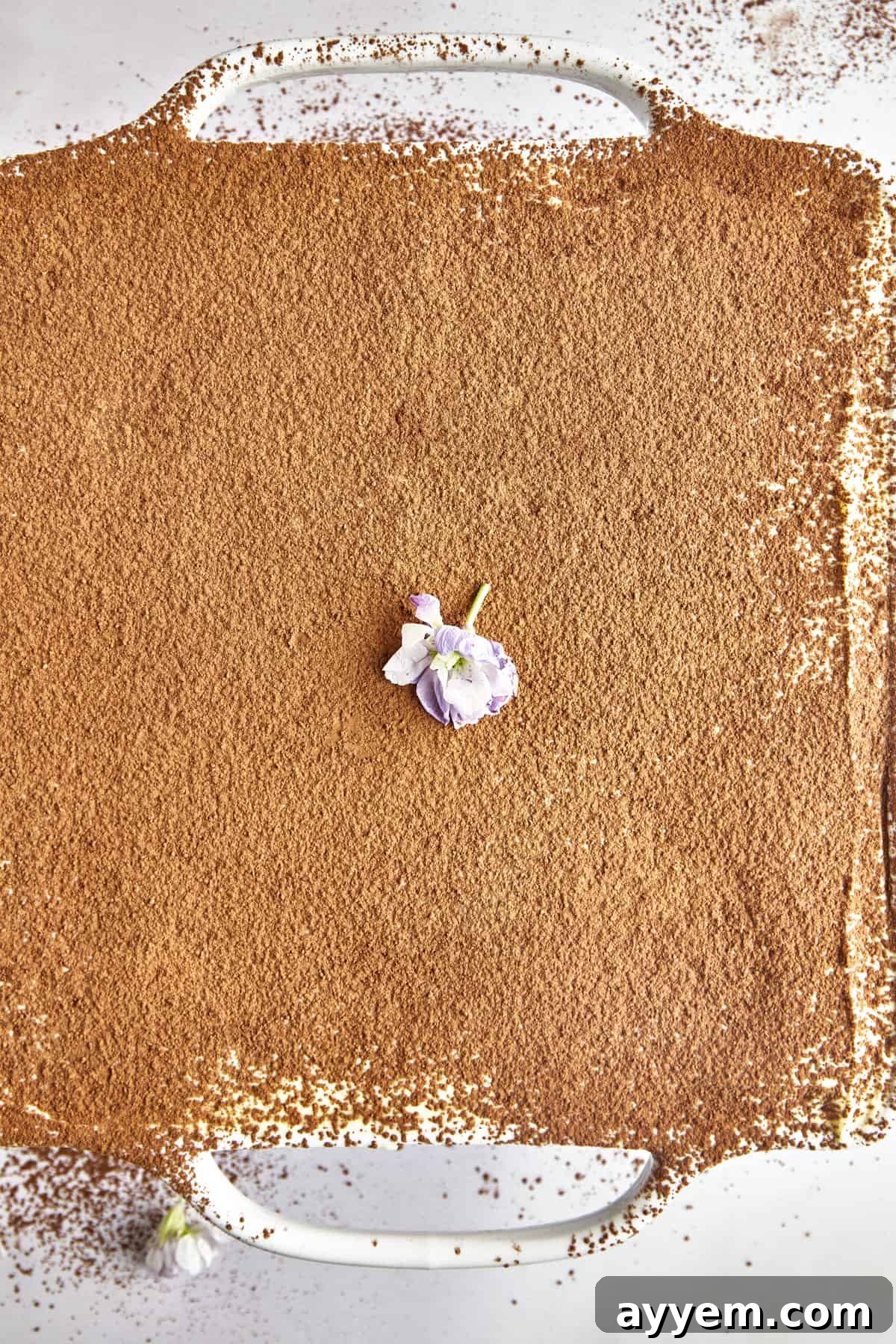 A top-down view of the prepared Easy Tiramisu, showing the perfectly arranged ladyfinger layers beneath a smooth, creamy mascarpone topping, dusted with cocoa, in a square baking dish.