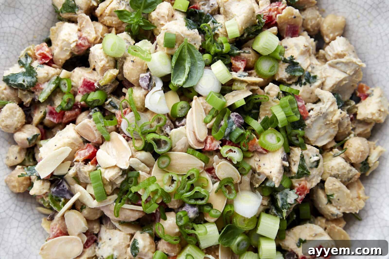 A close-up view of the rich and inviting Chickpea Chicken Salad, beautifully topped with delicate slivered almonds and fresh green onions, highlighting its appealing texture and vibrant garnishes.
