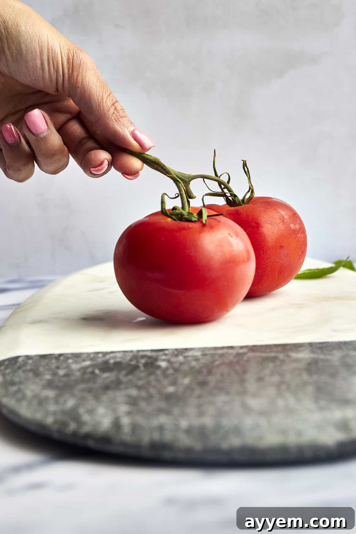 Mastering Tomato Slices Three Essential Techniques 3 A hand gently holding a vibrant red tomato still attached to its vine, emphasizing freshness and quality.