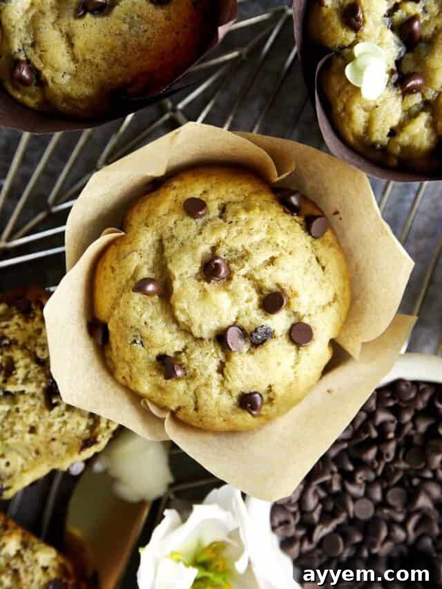 Overhead image of a perfectly baked chocolate chip banana bread muffin in a decorative paper liner.
