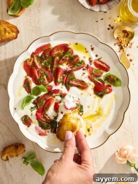 A hand dips toasted bread into a creamy whipped cottage cheese sauce topped with sliced tomatoes, fresh basil, olive oil, and red pepper flakes, all served on a white plate with a gold rim. Other food items surround the plate.