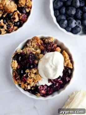 Overhead image of a ramekin full of blueberry crisp topped with vanilla ice cream.