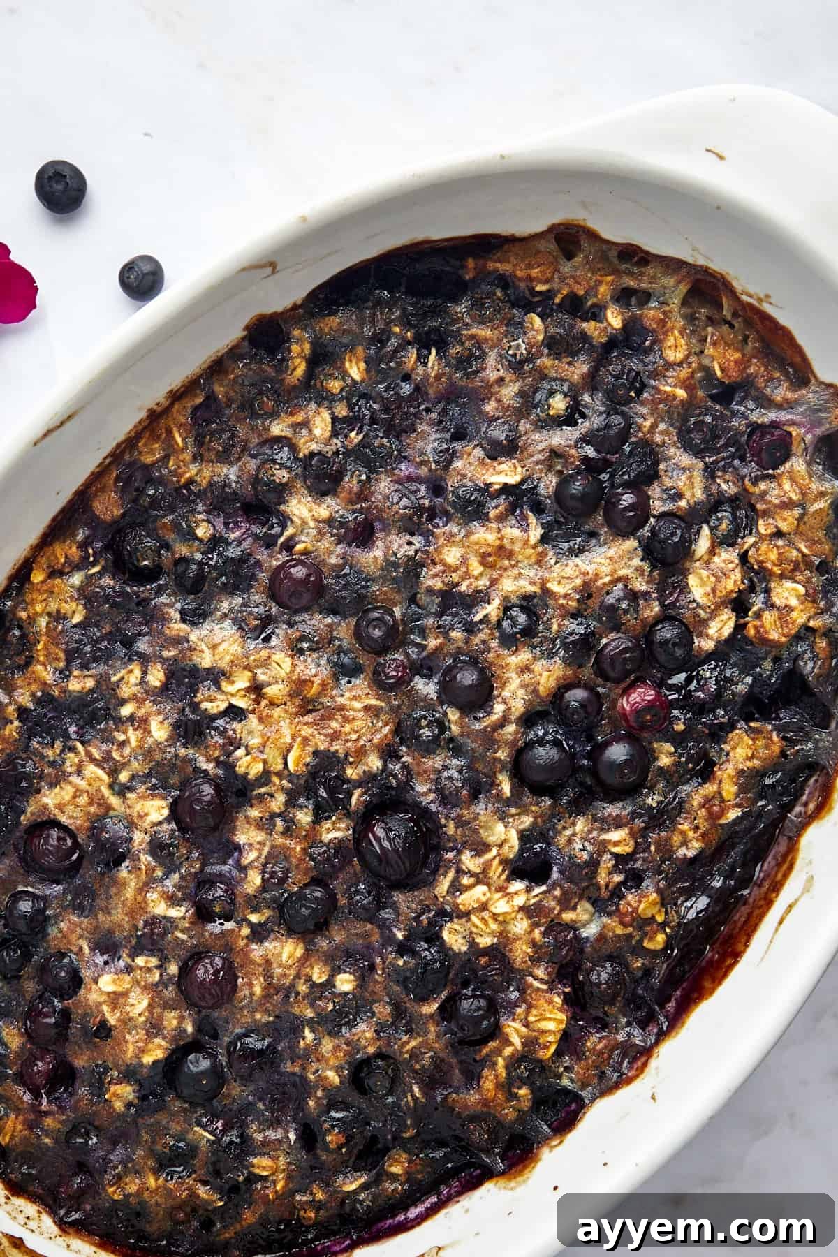 An inviting image of an oval baking dish filled to the brim with warm, golden-brown blueberry baked oatmeal, showcasing its rustic charm and delicious appeal.