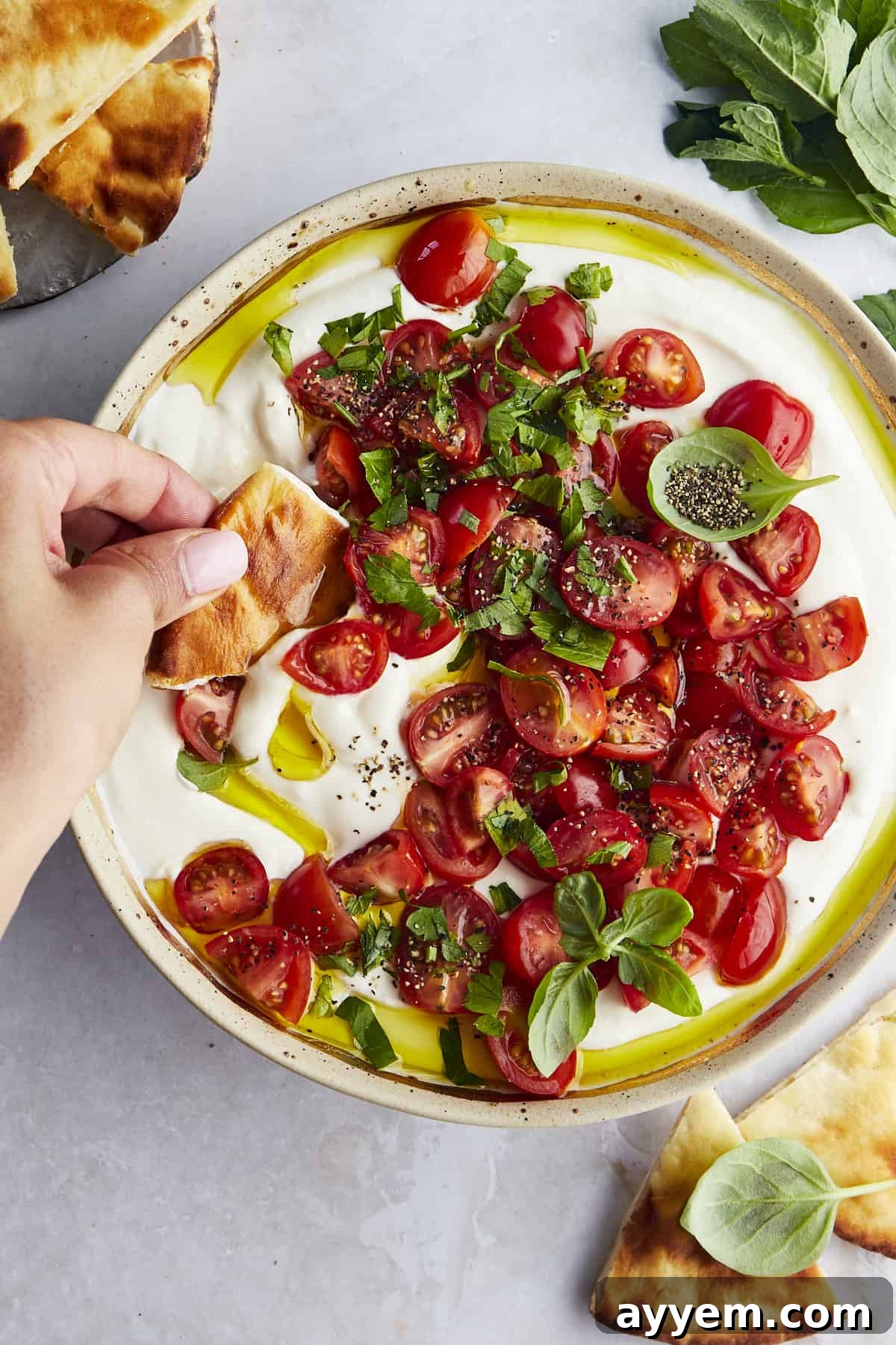 Freshly marinated tomatoes generously spooned over creamy whipped feta, with warm pita bread pieces ready for dipping.