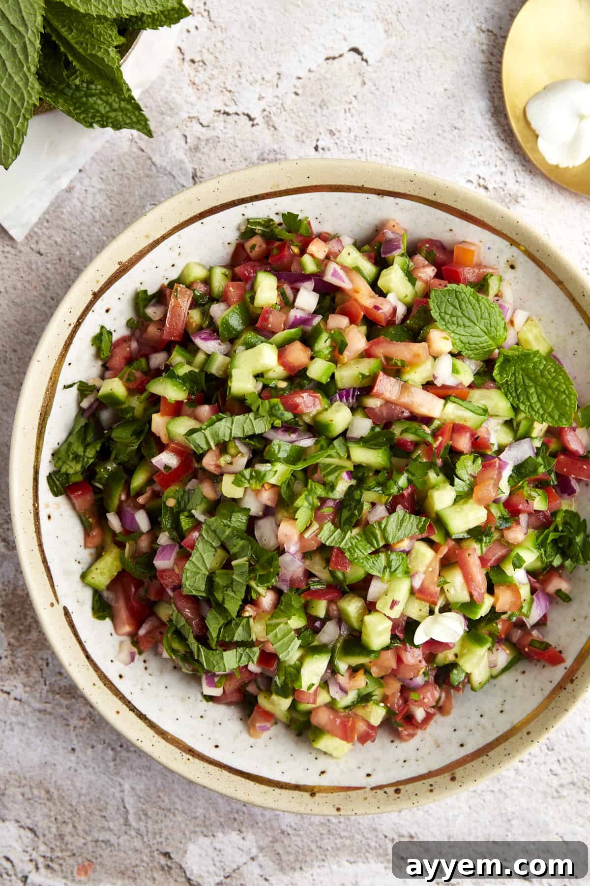 Close-up of diced tomatoes, cucumbers, and red onion, highlighting the fresh ingredients for Shirazi Salad.