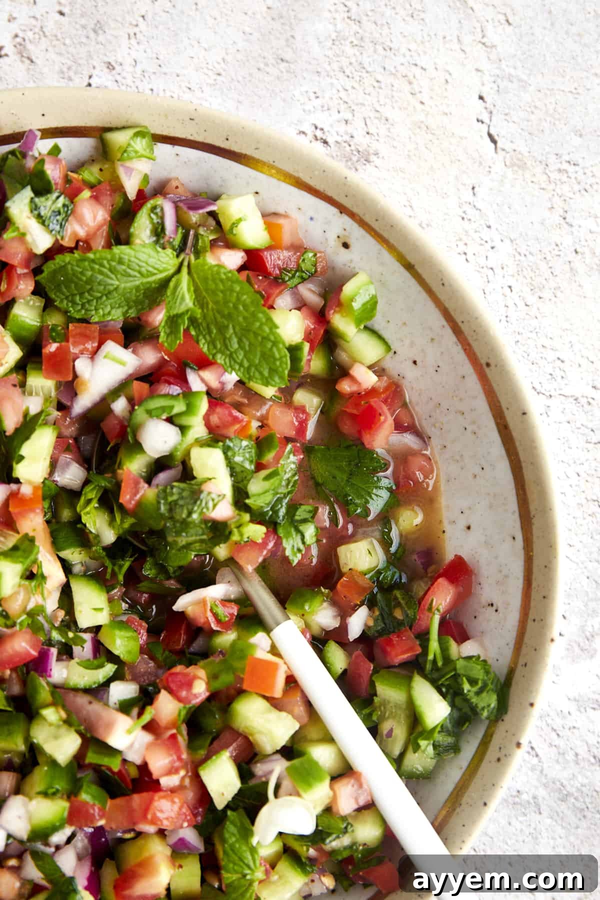 A large bowl filled with the colorful diced ingredients of Shirazi Salad before dressing.