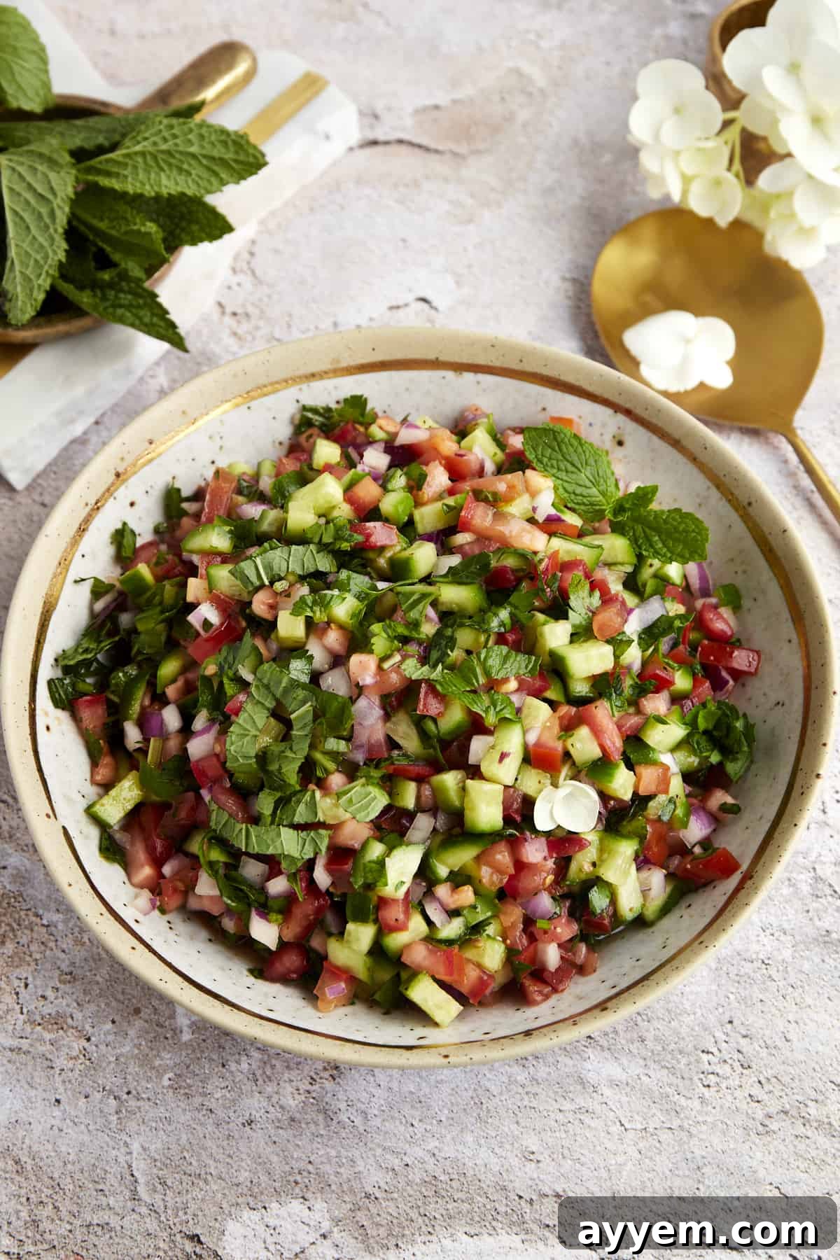 Easy Shirazi Salad Recipe
