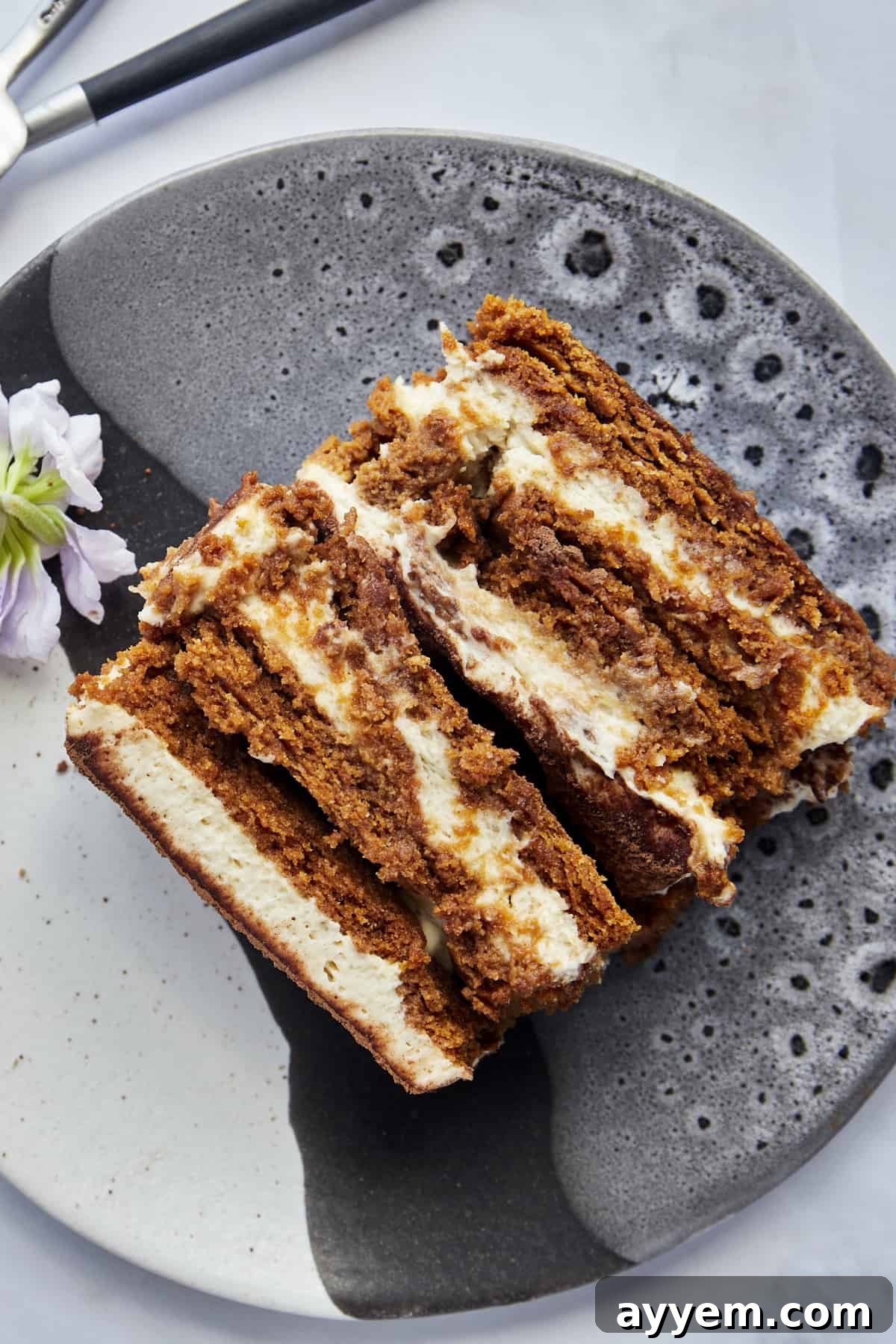 Overhead image of layered Biscoff tiramisu on a plate. 