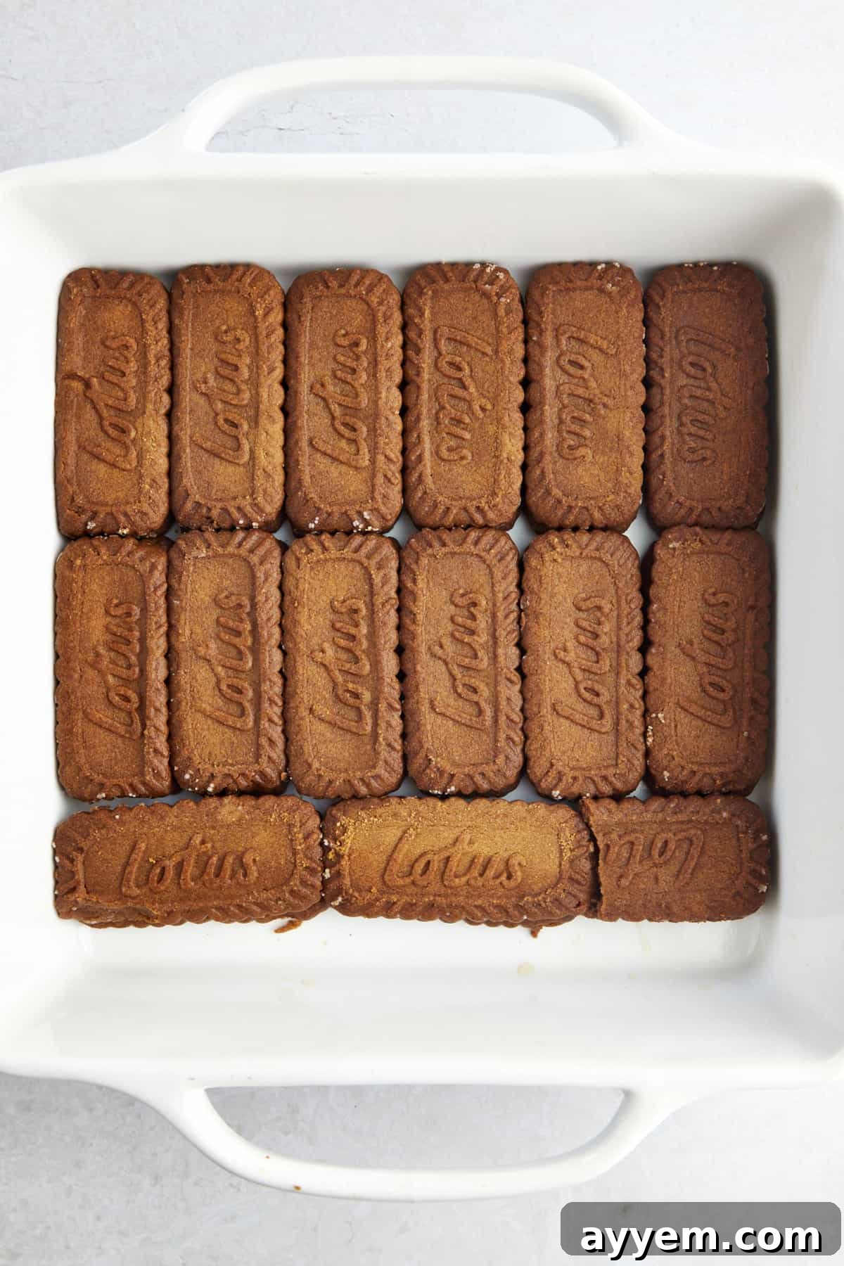 Espresso-soaked Biscoff cookies layered in the bottom of a baking dish. 