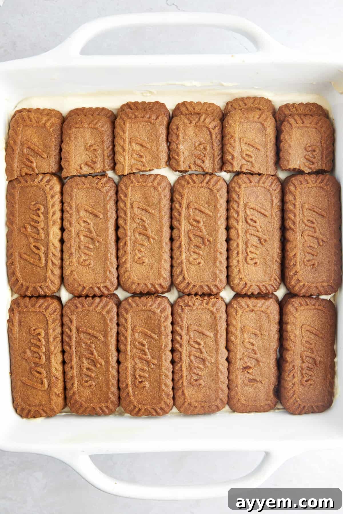 Layers of Biscoff cookies and whipped mascarpone filling in a baking dish. 