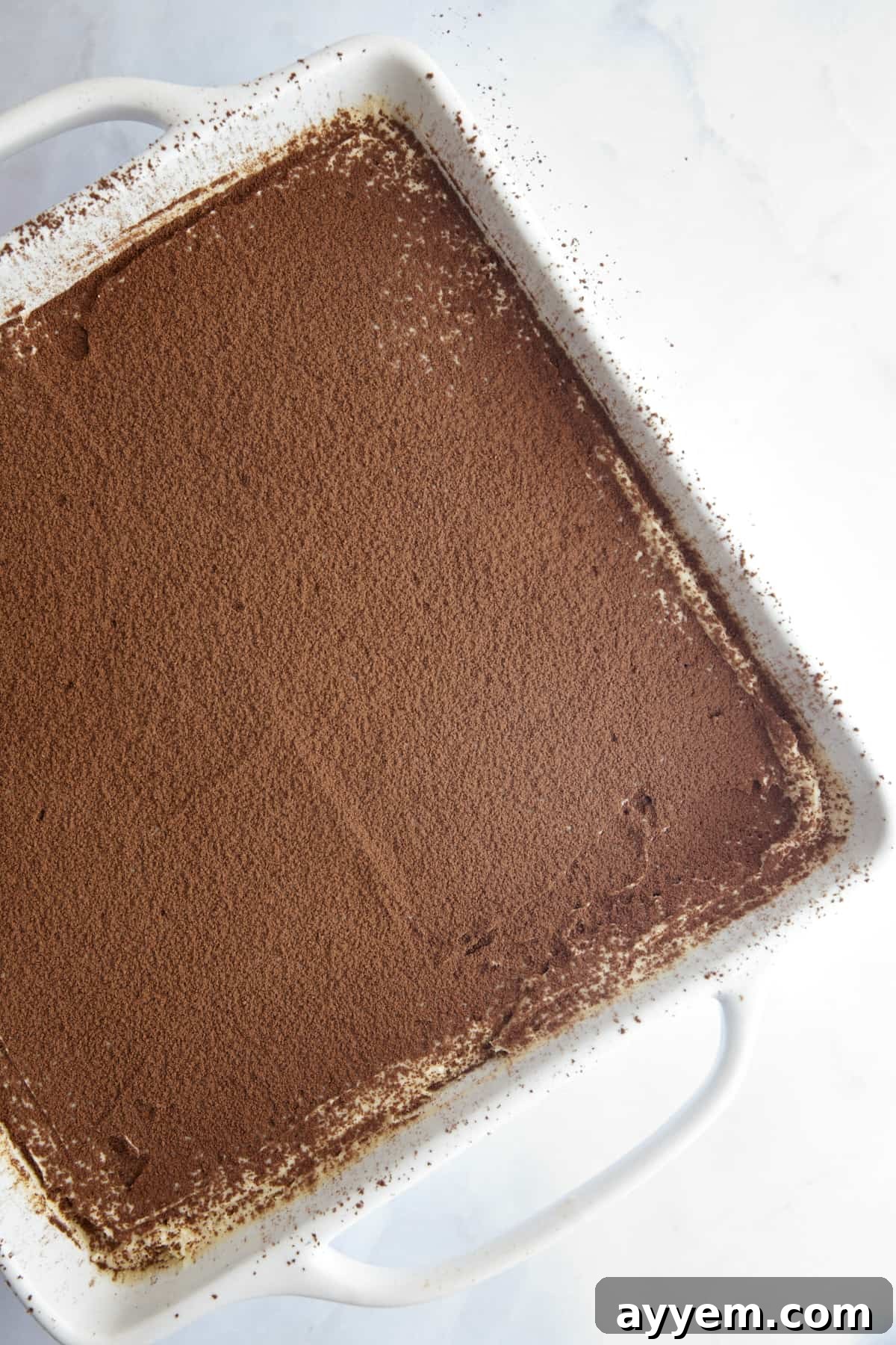 Overhead image of cocoa dusted Biscoff tiramisu in a square baking dish. 