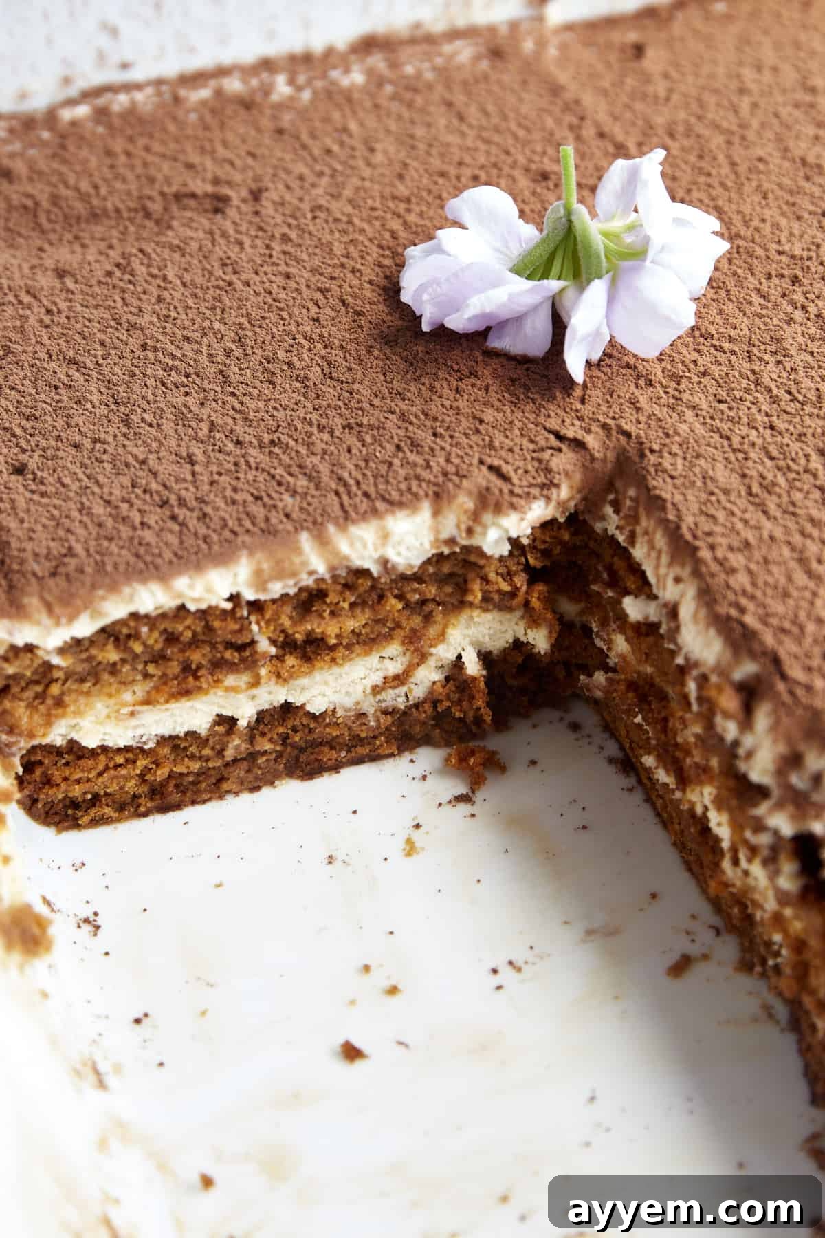 Biscoff tiramisu in a baking dish with a square missing. 