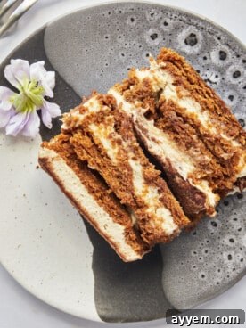 A delectable slice of Biscoff Tiramisu on a plate, showing rich layers of cookies and creamy mascarpone