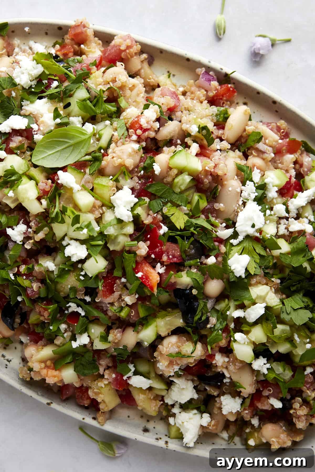 Hearty Quinoa White Bean Salad 2 Overhead image of a platter of quinoa cannellini bean salad topped with fresh herbs.