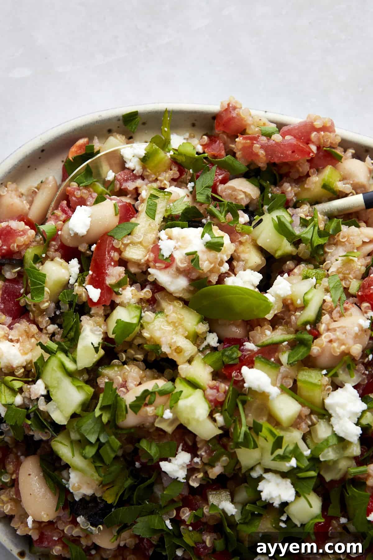 Hearty Quinoa White Bean Salad 3 Close up image of quinoa cannellini bean salad.