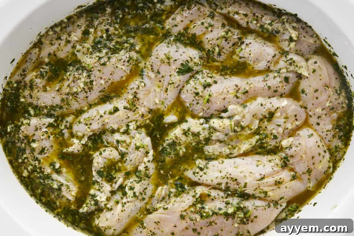 Chicken tenders in an olive oil lime marinade. 