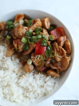 A vibrant bowl of Kung Pao Chicken served over fluffy white rice, ready to be enjoyed.