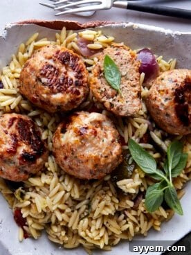 Sun-dried tomato chicken meatballs served over fluffy rice, garnished for a delicious main course.