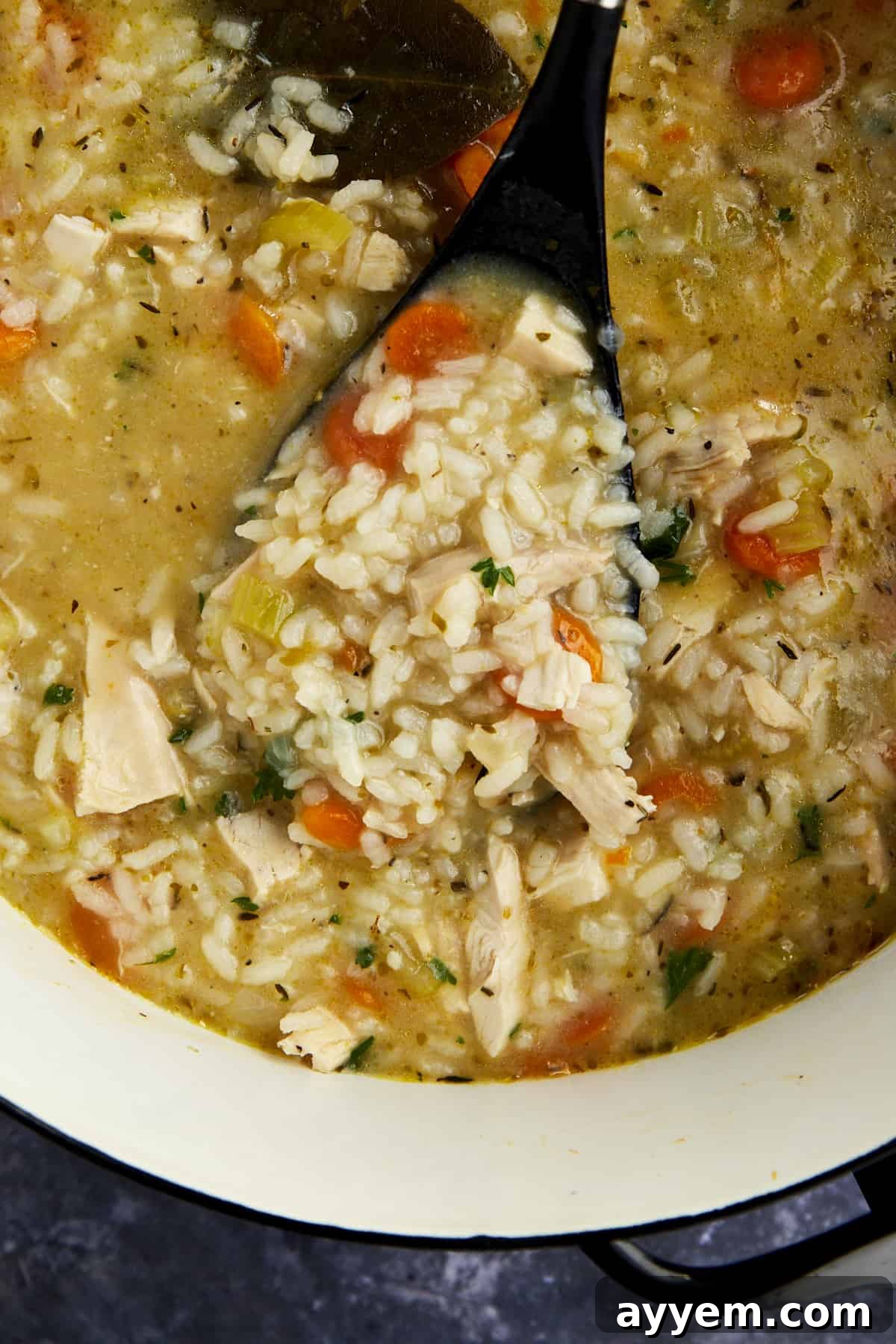 A ladle lifting a portion of chicken and rice soup from a pot. 