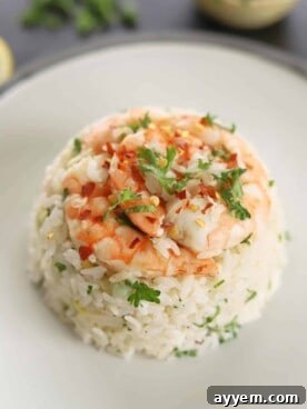 A vibrant serving of lemon garlic shrimp and rice on a white plate, garnished with fresh parsley.