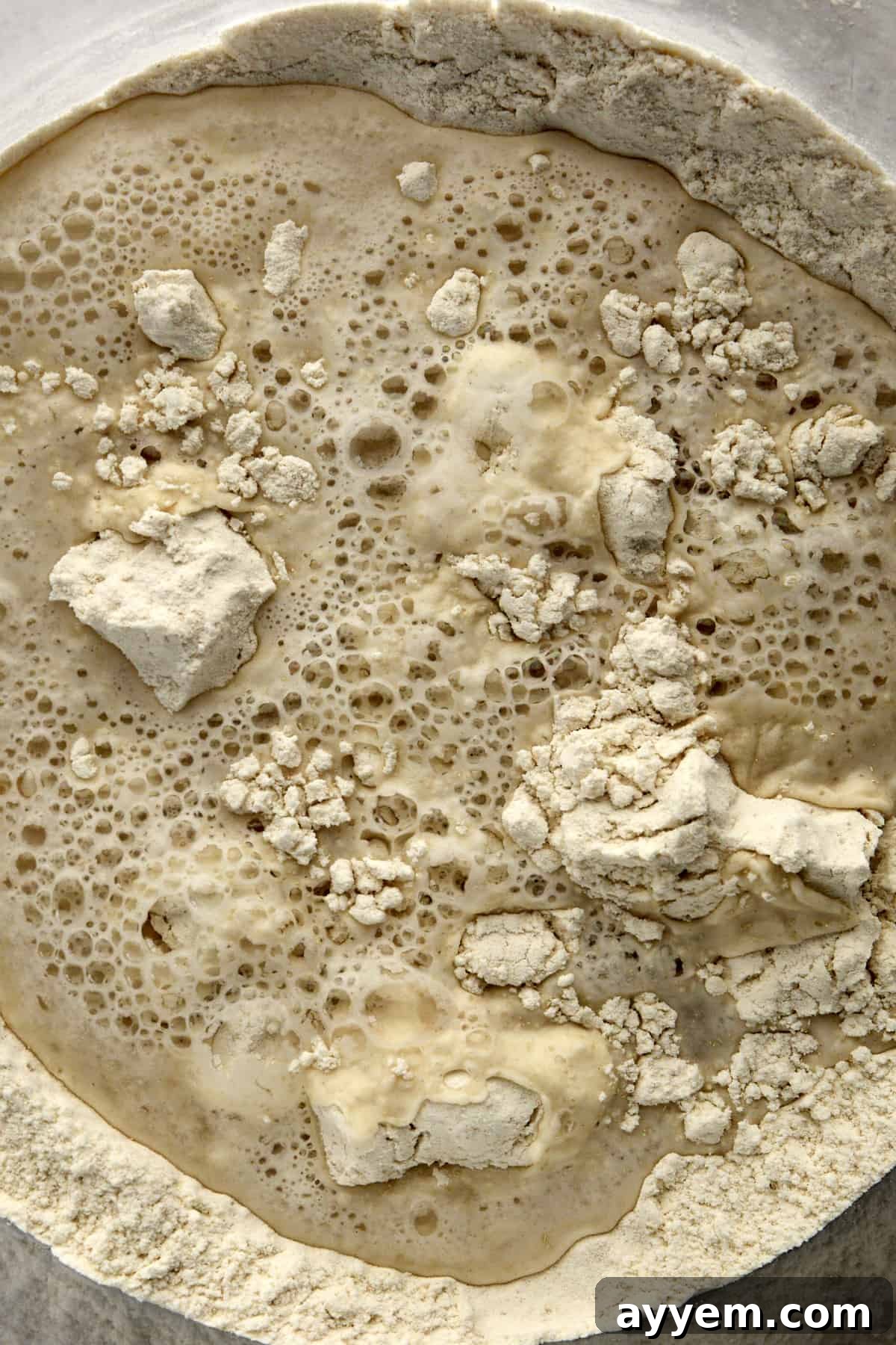 Bubbling yeast. 