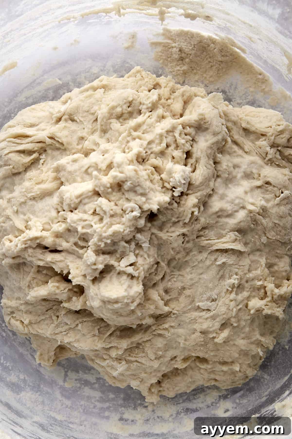 Bread dough in a bowl.