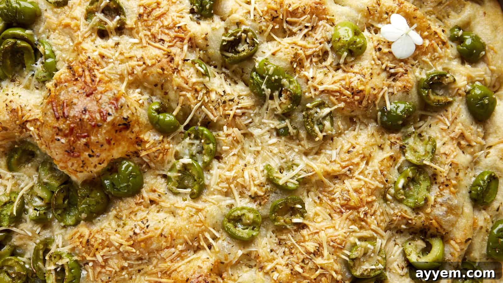 Close up image of olive focaccia bread.