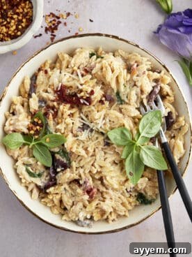 A comforting bowl of creamy spinach and sun-dried tomato Boursin orzo bake, ready to be enjoyed.