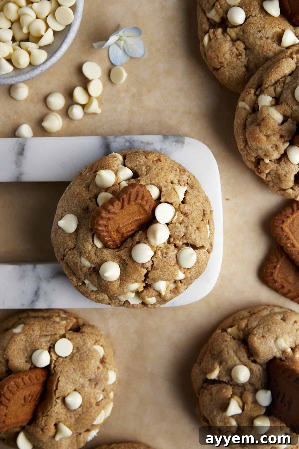 A perfectly baked White Chocolate Chip Biscoff Cookie with a Biscoff cookie on top.