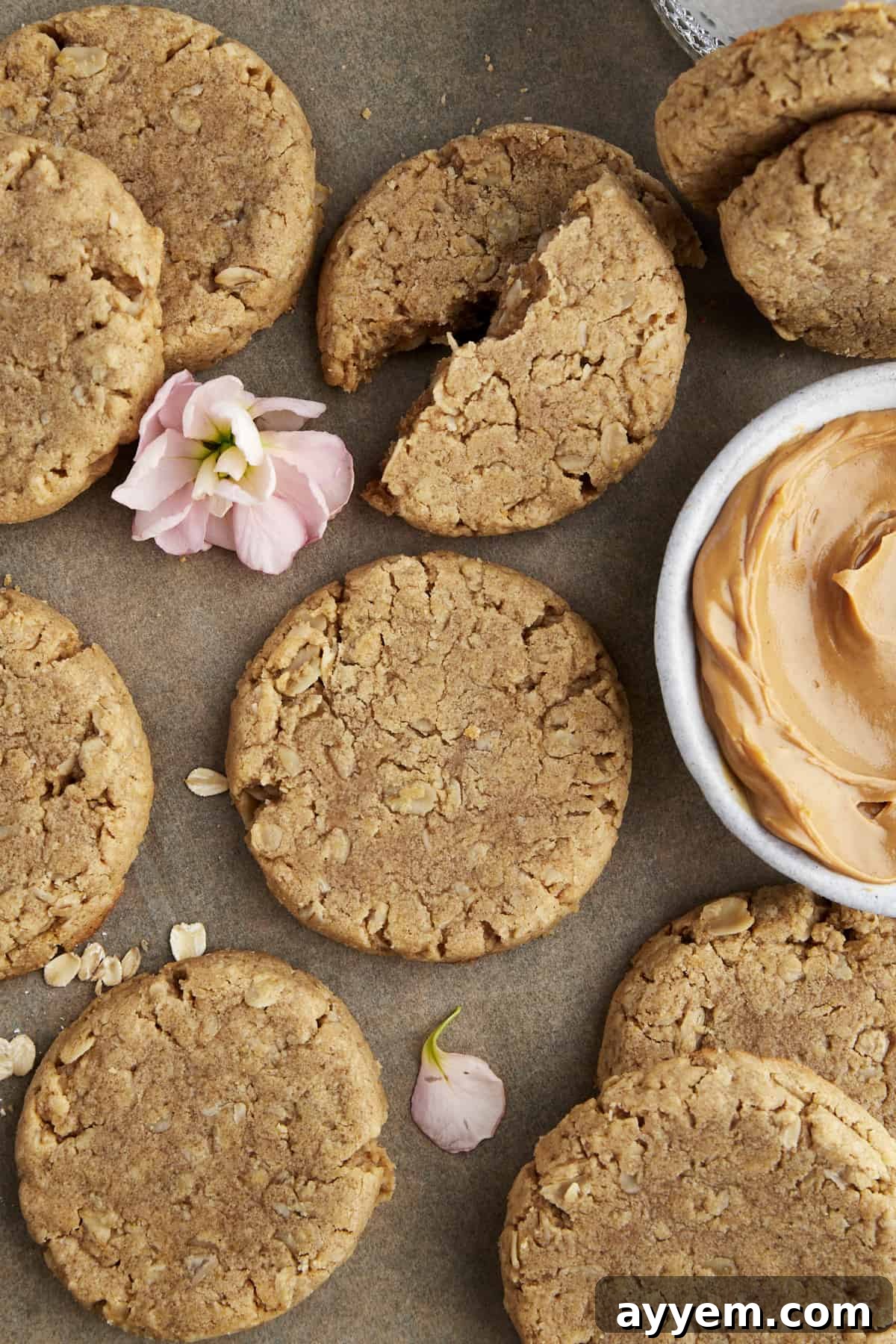 Overhead image of peanut butter oatmeal cookies arranged on a surface.