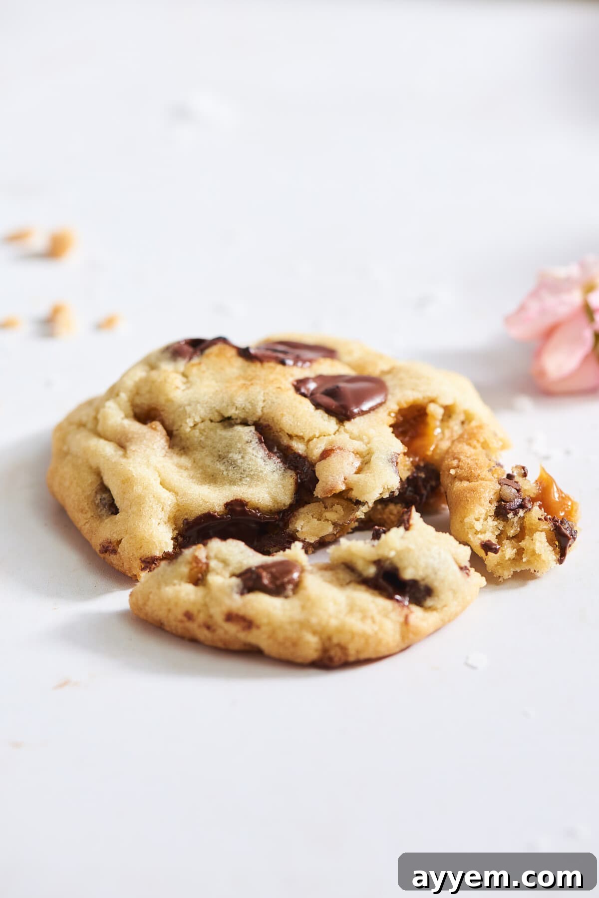 An everything but the kitchen sink cookie with pieces broken off.