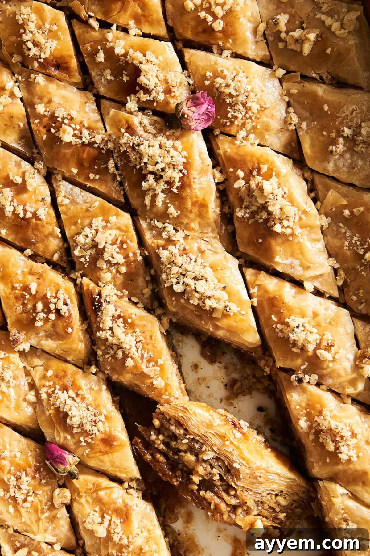 The Ultimate Baklava Recipe Guide 4 Baklava in a baking dish with one piece on its side exposing the walnut filling.