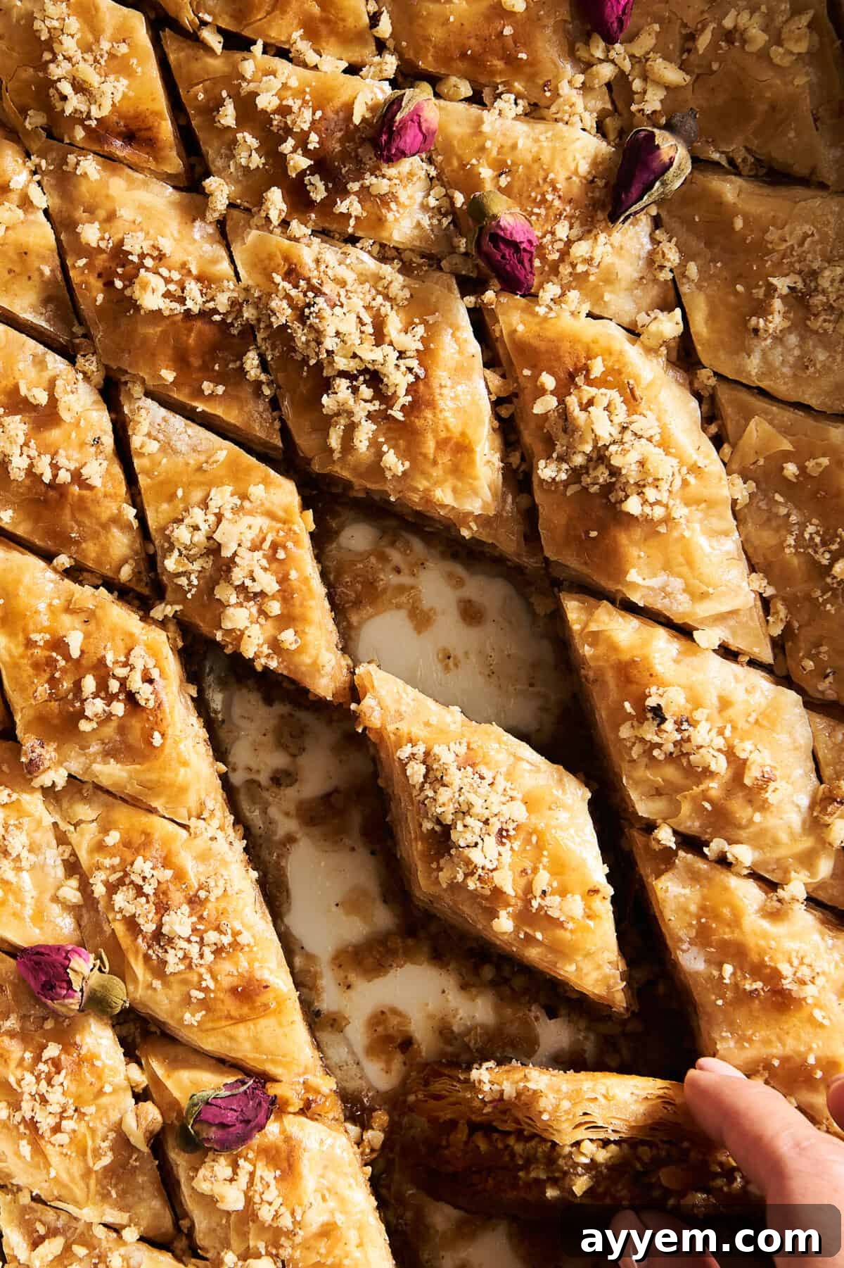The Ultimate Baklava Recipe Guide 5 A baking dish of baklava pieces with a few pieces missing.