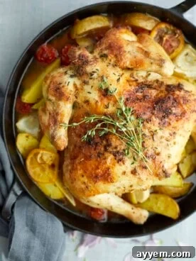An overhead shot of a perfectly roasted whole chicken surrounded by an assortment of colorful vegetables in a pan.