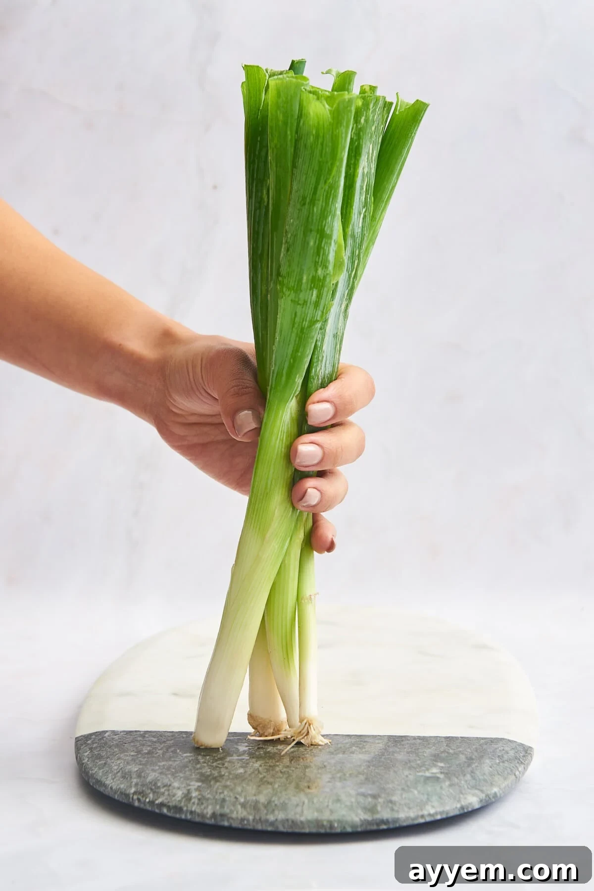 A hand holding a bunch of green onions on a cutting board.
