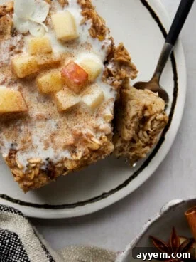 A bowl of warm baked apple oatmeal, garnished with fresh apple slices and a sprinkle of cinnamon, perfect for a cozy morning.